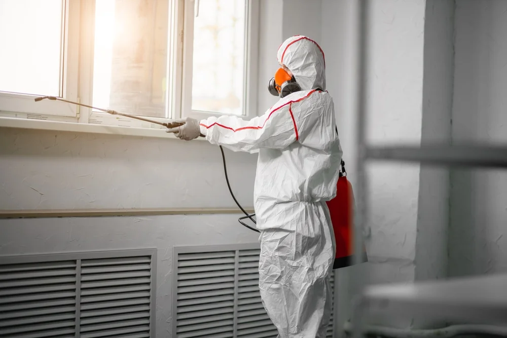 Professional mold remediation services in Wabash, IN